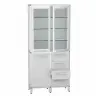 Медицинский шкаф ДМ-1-101-21. (код 1001.21)
