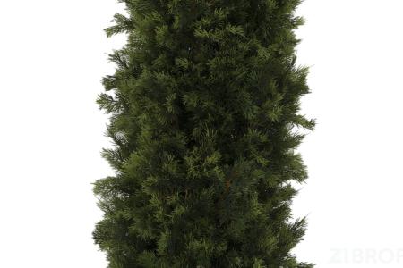 Искусственные растения Туя MK-7402-CT 0х0х180 см Темно-зеленый