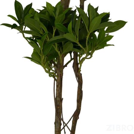 Искусственные растения Дерево счастья MK-7404-FT две кроны 0х0х160 см Темно-зеленый