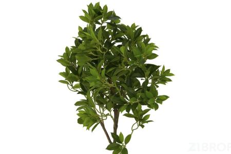 Искусственные растения Дерево счастья MK-7406-FT 0х0х165 см Темно-зеленый