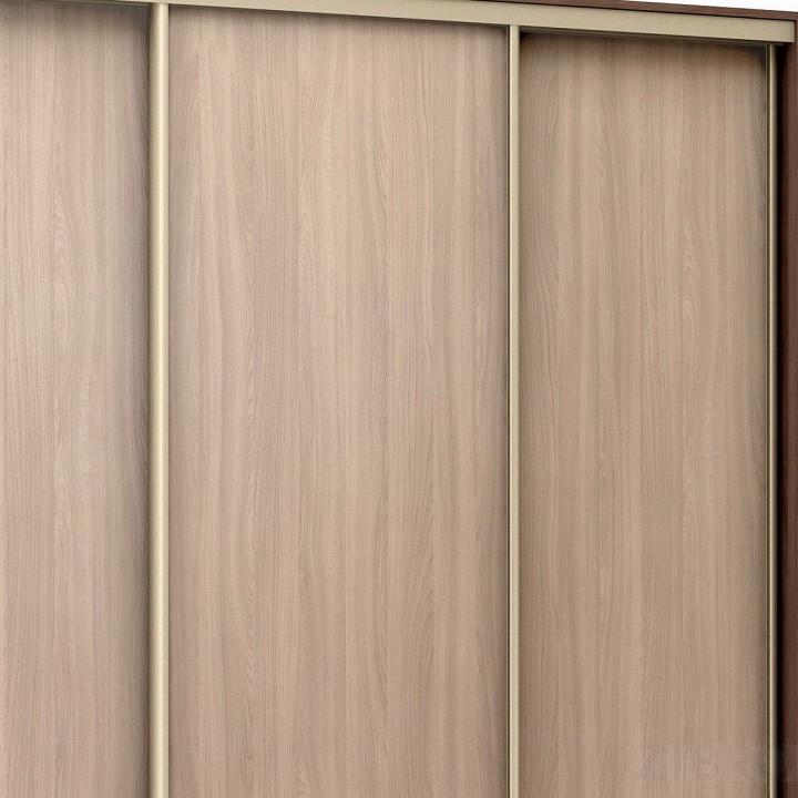 Шкаф-купе Стандарт ЛДСП 3 ясень шимо темный BRN_1011