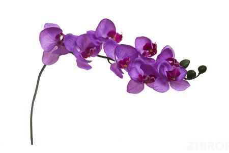 8J-1219S0005 Орхидея лиловая 85 см (12)